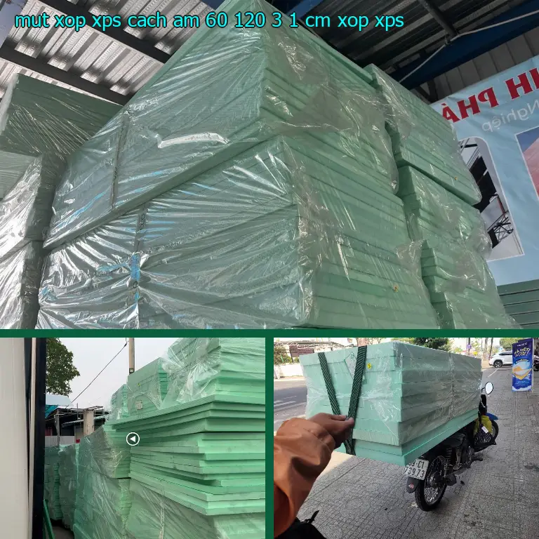Danh mục mút xốp XPS cách âm 60*120*3.1 cm: Xốp XPS