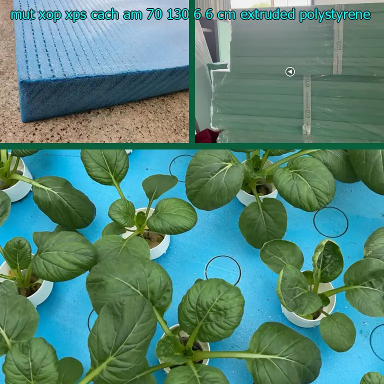 Chất liệu mút xốp XPS cách âm 70*130*6.6 cm: Extruded Polystyrene