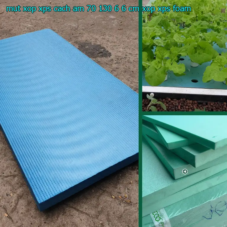 Danh mục mút xốp XPS cách âm 70*130*6.6 cm: Xốp XPS Foam