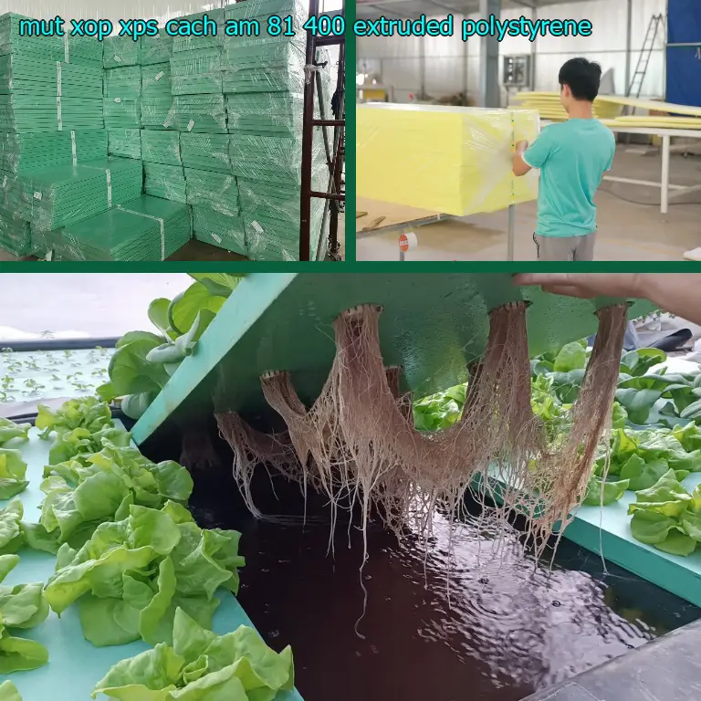 Chất liệu mút xốp XPS cách âm 81.400₫: Extruded Polystyrene Chất liệu mút xốp XPS cách âm 81.400₫: Extruded Polystyrene