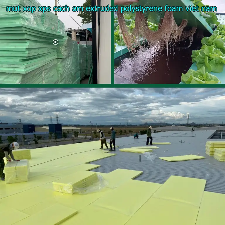 Xuất xứ mút xốp XPS cách âm Extruded Polystyrene Foam: Viet Nam