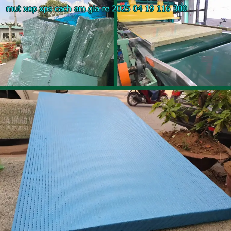 Giá mút xốp XPS cách âm giá rẻ 2025-04-19: 116.300₫ Giá mút xốp XPS cách âm giá rẻ 2025-04-19: 116.300₫