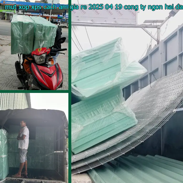 Nhà cung cấp mút xốp XPS cách âm giá rẻ 2025-04-19: Công ty Ngọn Hải Đăng Nhà cung cấp mút xốp XPS cách âm giá rẻ 2025-04-19: Công ty Ngọn Hải Đăng