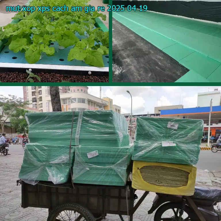 Mút xốp XPS cách âm giá rẻ 2025-04-19