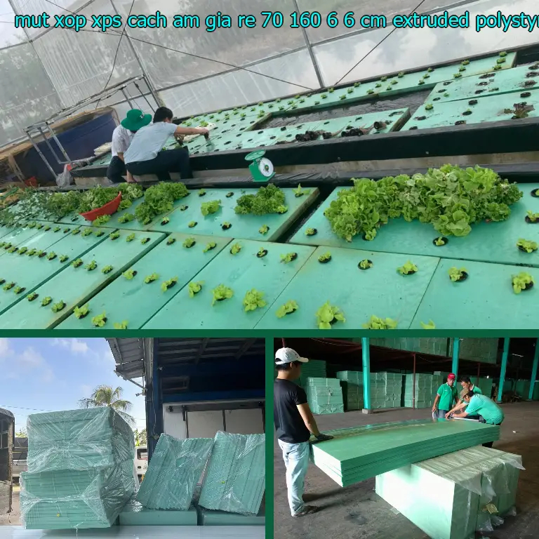 Chất liệu mút xốp XPS cách âm giá rẻ 70*160*6.6 cm: Extruded Polystyrene