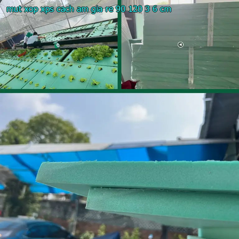 Mút xốp XPS cách âm giá rẻ 90*120*3.6 cm