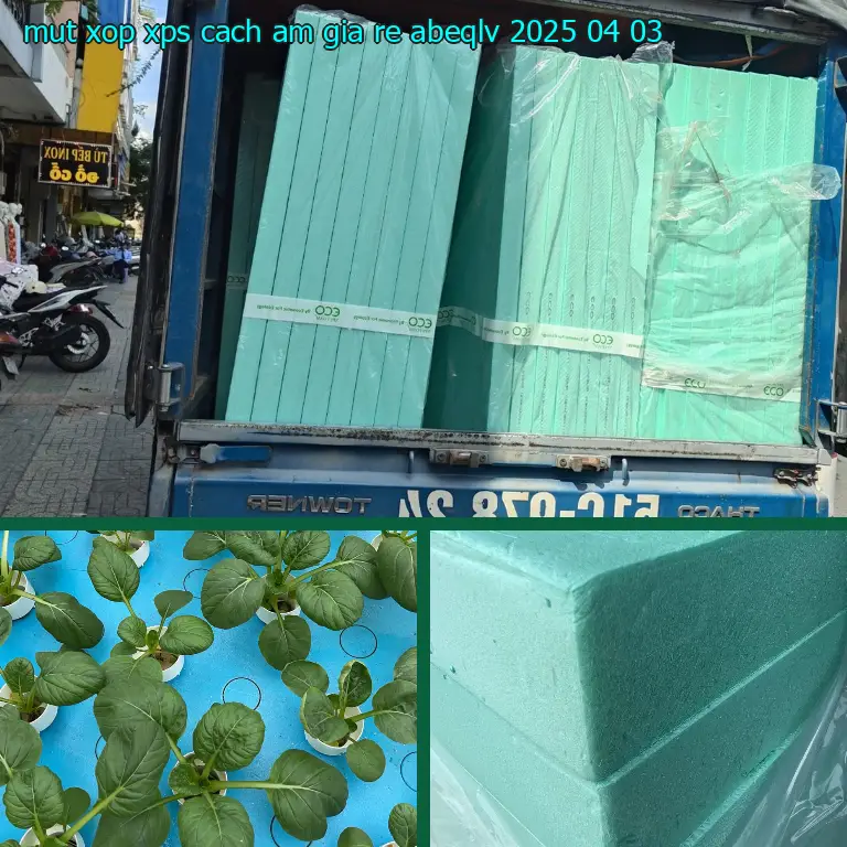 Ngày sản xuất mút xốp XPS cách âm giá rẻ ABEQLV: 2025-04-03 Ngày sản xuất mút xốp XPS cách âm giá rẻ ABEQLV: 2025-04-03