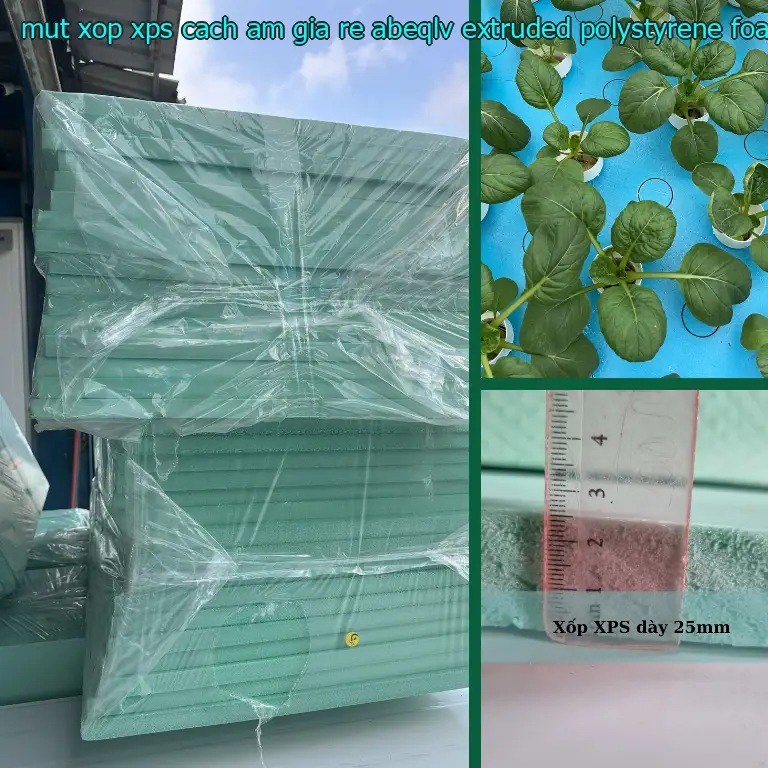Chất liệu mút xốp XPS cách âm giá rẻ ABEQLV: Extruded Polystyrene Foam Chất liệu mút xốp XPS cách âm giá rẻ ABEQLV: Extruded Polystyrene Foam