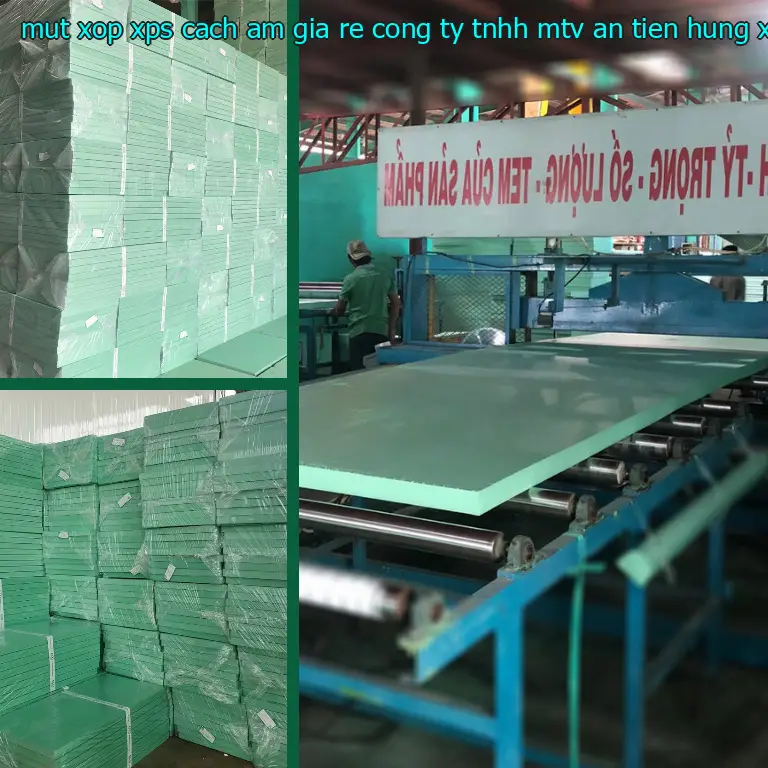 Màu sắc mút xốp XPS cách âm giá rẻ Công ty TNHH MTV An Tiến Hưng: Xanh lá Màu sắc mút xốp XPS cách âm giá rẻ Công ty TNHH MTV An Tiến Hưng: Xanh lá