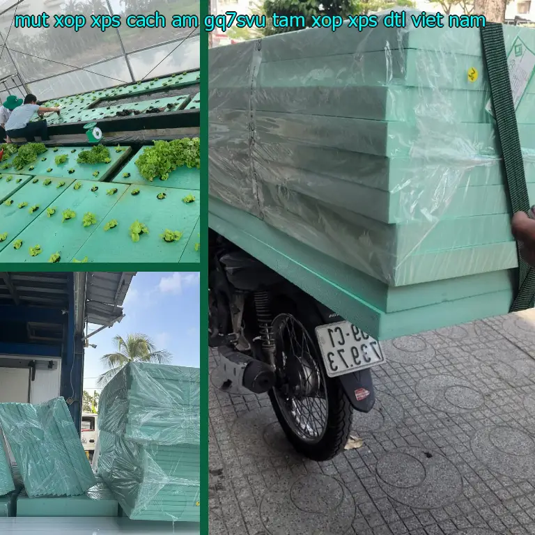 Nhà sản xuất mút xốp XPS cách âm GQ7SVU: Tấm xốp XPS DTL Việt Nam Nhà sản xuất mút xốp XPS cách âm GQ7SVU: Tấm xốp XPS DTL Việt Nam
