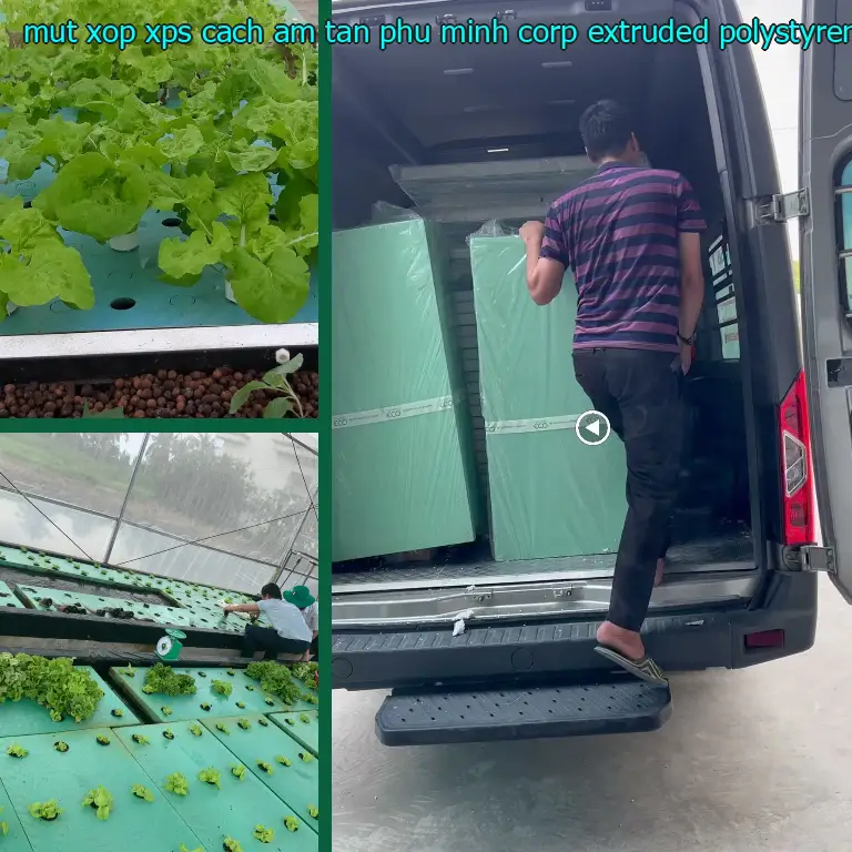 Chất liệu mút xốp XPS cách âm Tân Phú Minh Corp: Extruded Polystyrene Foam