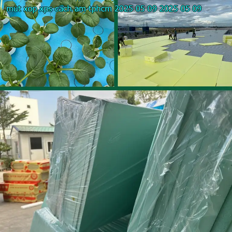 Ngày sản xuất mút xốp XPS cách âm TpHCM 2025-05-09: 2025-05-09