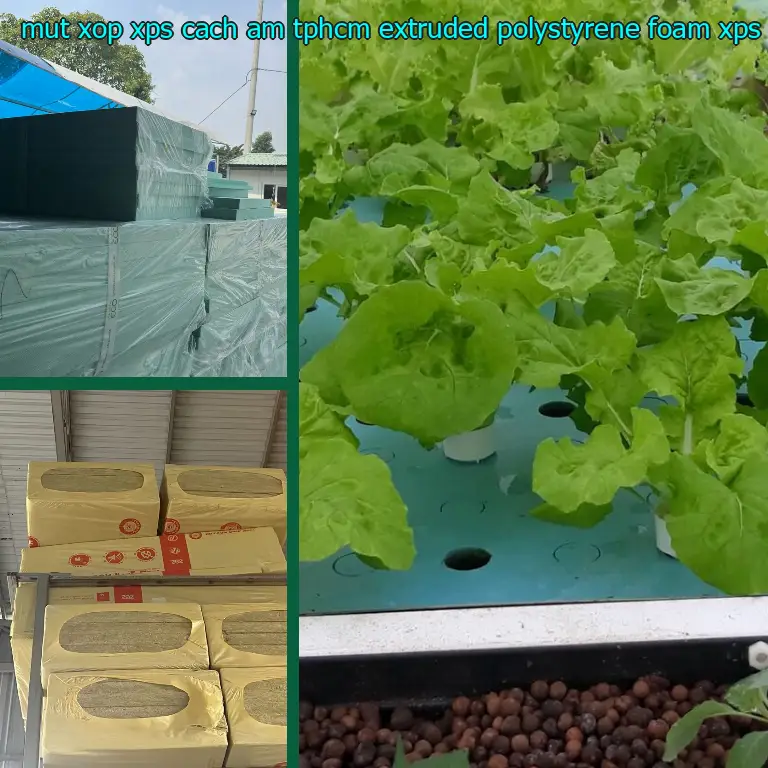 Danh mục mút xốp XPS cách âm TpHCM Extruded Polystyrene Foam: XPS Board Danh mục mút xốp XPS cách âm TpHCM Extruded Polystyrene Foam: XPS Board