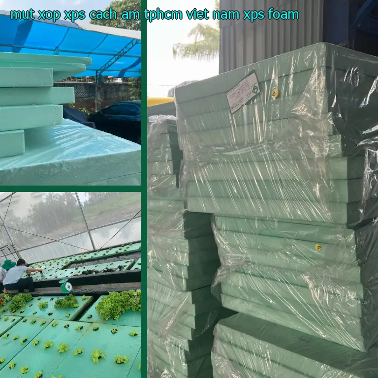 Danh mục mút xốp XPS cách âm TpHCM Việt Nam: XPS Foam Danh mục mút xốp XPS cách âm TpHCM Việt Nam: XPS Foam