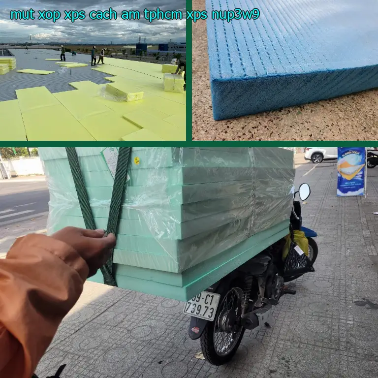 Model mút xốp XPS cách âm TpHCM XPS: NUP3W9 Model mút xốp XPS cách âm TpHCM XPS: NUP3W9