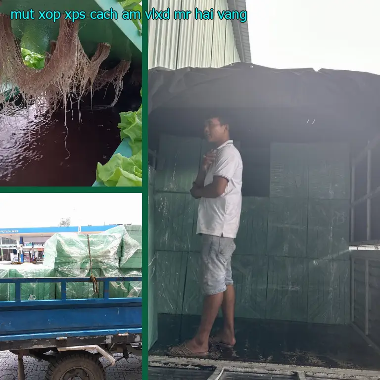 Màu sắc mút xốp XPS cách âm VLXD Mr.HẢI: Vàng Màu sắc mút xốp XPS cách âm VLXD Mr.HẢI: Vàng