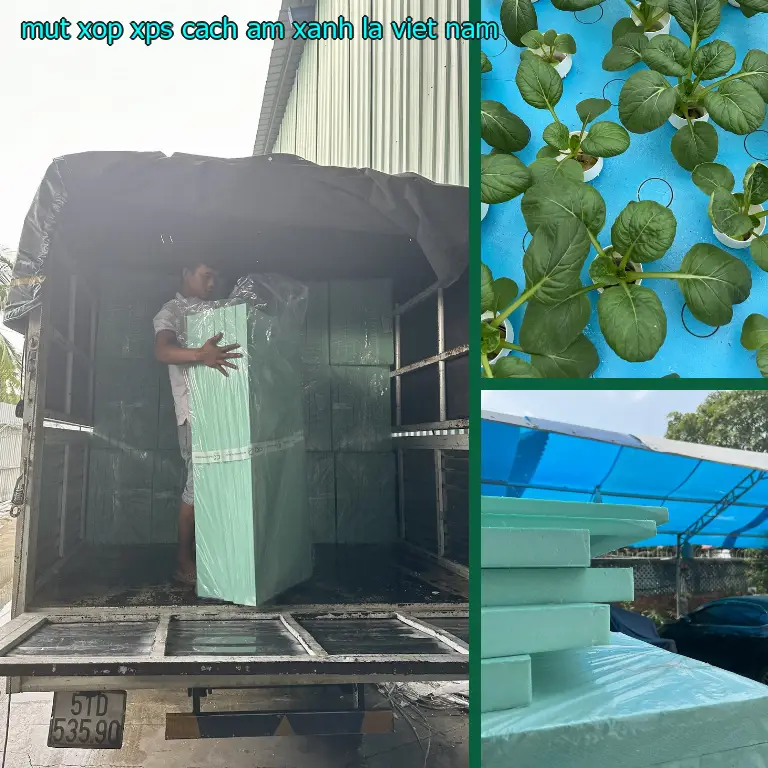 Xuất xứ mút xốp XPS cách âm Xanh lá: Việt Nam Xuất xứ mút xốp XPS cách âm Xanh lá: Việt Nam