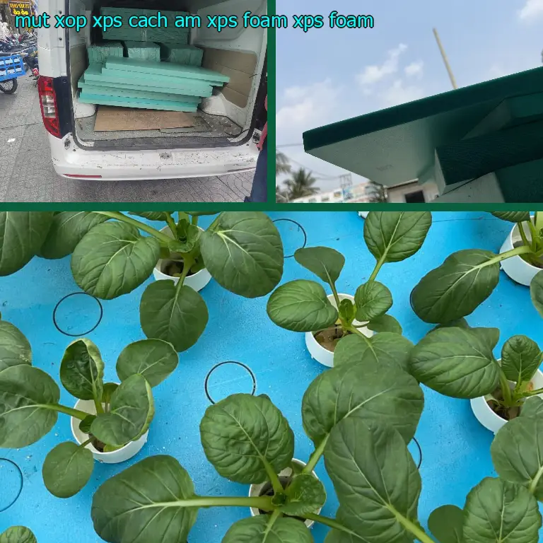 Danh mục mút xốp XPS cách âm XPS Foam: XPS Foam Danh mục mút xốp XPS cách âm XPS Foam: XPS Foam