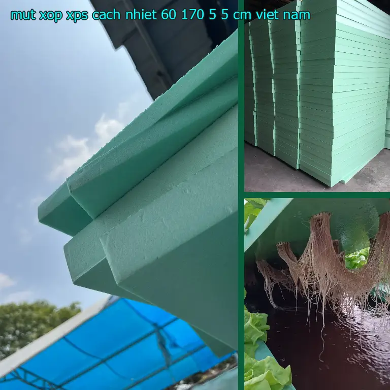 Xuất xứ mút xốp XPS cách nhiệt 60*170*5.5 cm: Viet Nam Xuất xứ mút xốp XPS cách nhiệt 60*170*5.5 cm: Viet Nam