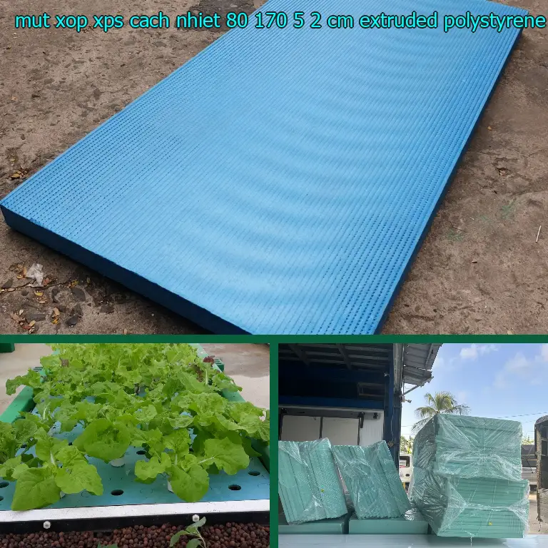 Chất liệu mút xốp XPS cách nhiệt 80*170*5.2 cm: Extruded Polystyrene Foam Chất liệu mút xốp XPS cách nhiệt 80*170*5.2 cm: Extruded Polystyrene Foam