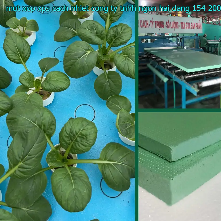Giá mút xốp XPS cách nhiệt Công ty TNHH Ngọn Hải Đăng: 154.200₫ Giá mút xốp XPS cách nhiệt Công ty TNHH Ngọn Hải Đăng: 154.200₫
