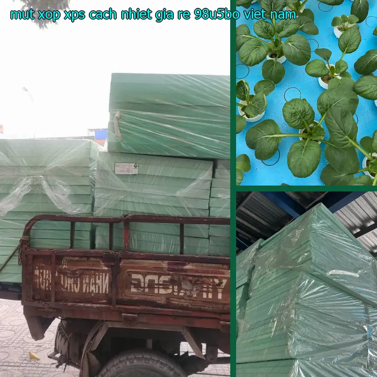 Xuất xứ mút xốp XPS cách nhiệt giá rẻ 98U5BO: Viet Nam Xuất xứ mút xốp XPS cách nhiệt giá rẻ 98U5BO: Viet Nam