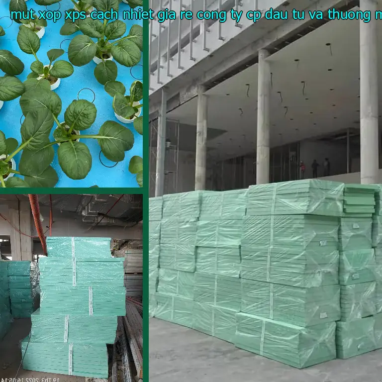 Xuất xứ mút xốp XPS cách nhiệt giá rẻ Công ty CP đầu tư và thương mại AK Việt Nam: Viet Nam Xuất xứ mút xốp XPS cách nhiệt giá rẻ Công ty CP đầu tư và thương mại AK Việt Nam: Viet Nam