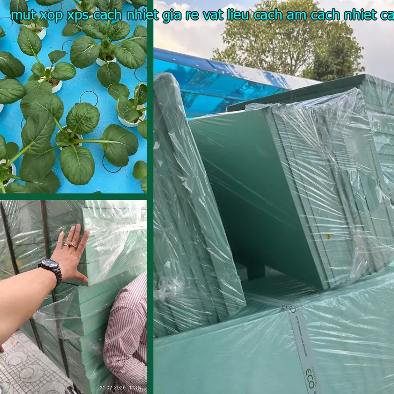 Ngày sản xuất mút xốp XPS cách nhiệt giá rẻ Vật liệu cách âm cách nhiệt Cát Tường: 2025-01-31 Ngày sản xuất mút xốp XPS cách nhiệt giá rẻ Vật liệu cách âm cách nhiệt Cát Tường: 2025-01-31
