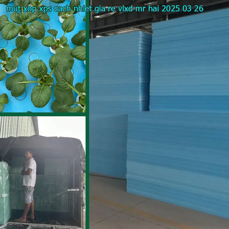 Ngày sản xuất mút xốp XPS cách nhiệt giá rẻ VLXD Mr.HẢI: 2025-03-26
