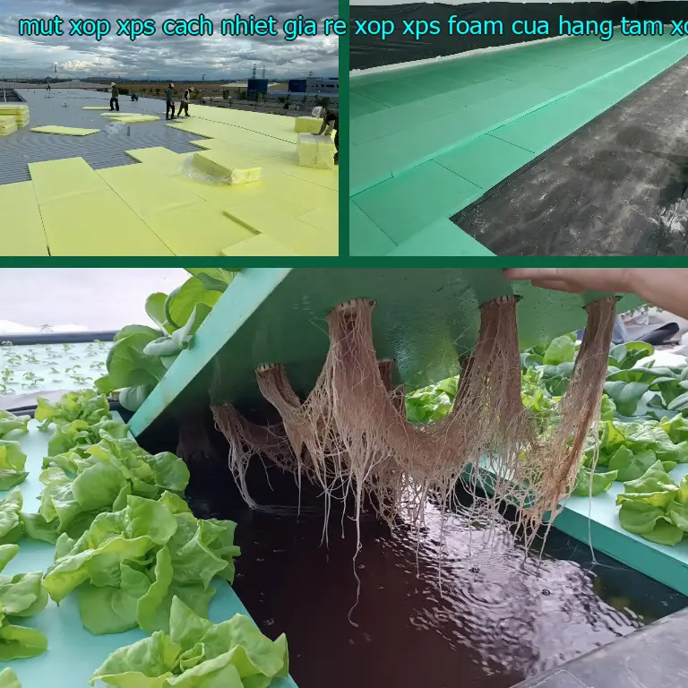 Nhà cung cấp mút xốp XPS cách nhiệt giá rẻ Xốp XPS Foam: Cửa hàng tấm xốp Mr.HẢI Nhà cung cấp mút xốp XPS cách nhiệt giá rẻ Xốp XPS Foam: Cửa hàng tấm xốp Mr.HẢI