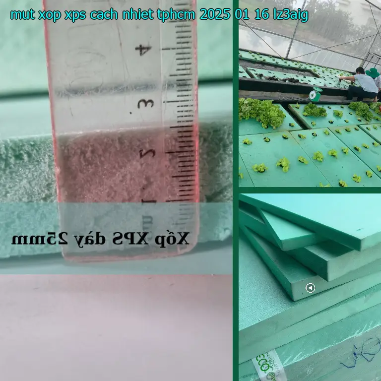 Model mút xốp XPS cách nhiệt TpHCM 2025-01-16: LZ3AIG Model mút xốp XPS cách nhiệt TpHCM 2025-01-16: LZ3AIG