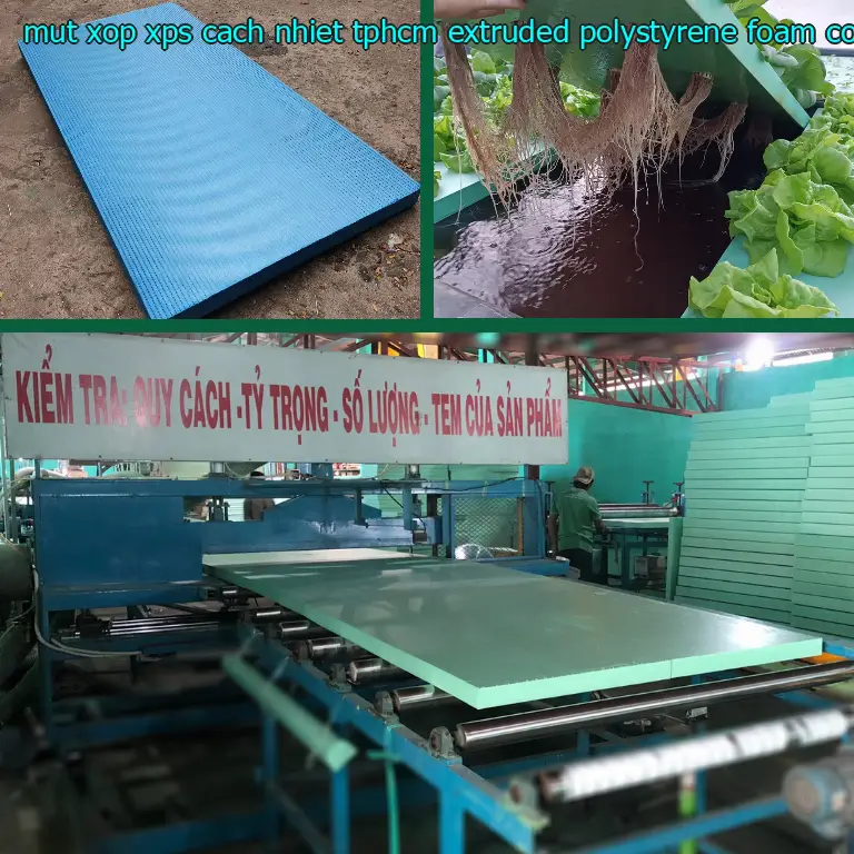 Nhà sản xuất mút xốp XPS cách nhiệt TpHCM Extruded Polystyrene Foam: Công ty TNHH cách nhiệt King Panel
