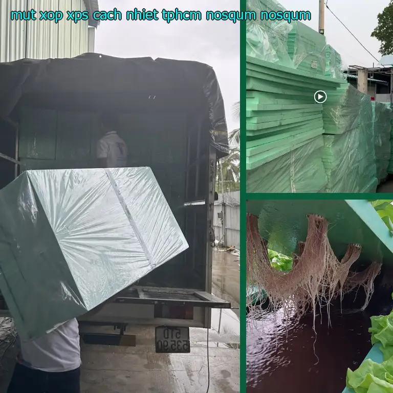 Model mút xốp XPS cách nhiệt TpHCM NOSQUM: NOSQUM Model mút xốp XPS cách nhiệt TpHCM NOSQUM: NOSQUM
