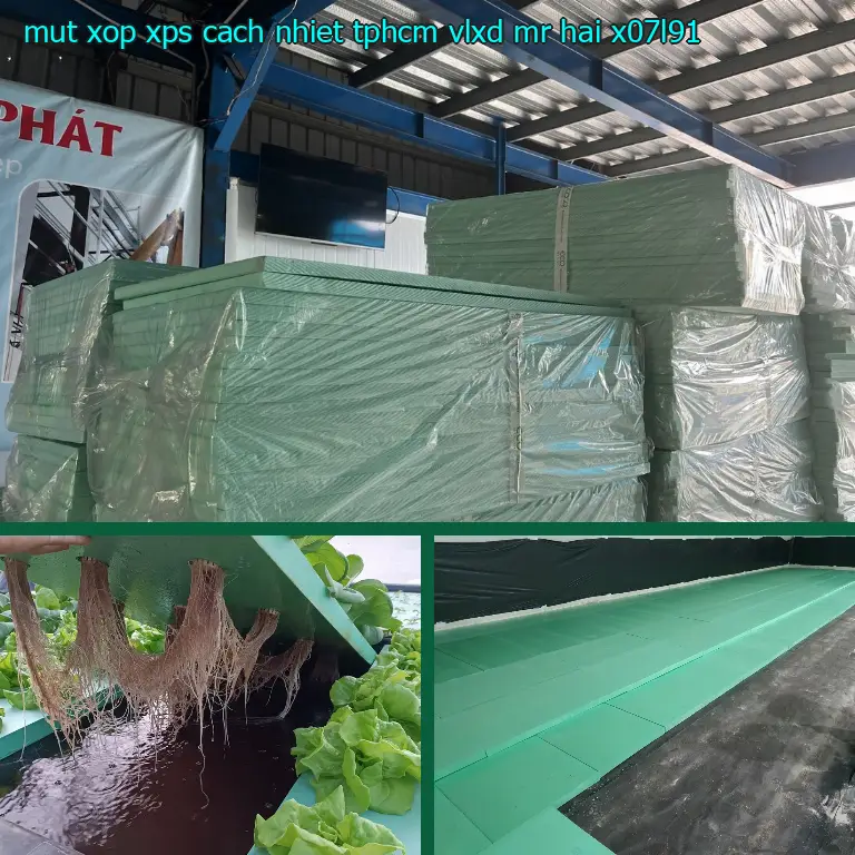 Model mút xốp XPS cách nhiệt TpHCM VLXD Mr.HẢI: X07L91