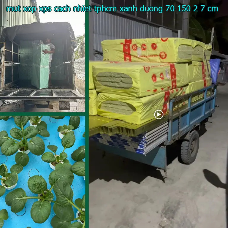 Kích thước mút xốp XPS cách nhiệt TpHCM Xanh dương: 70*150*2.7 cm Kích thước mút xốp XPS cách nhiệt TpHCM Xanh dương: 70*150*2.7 cm