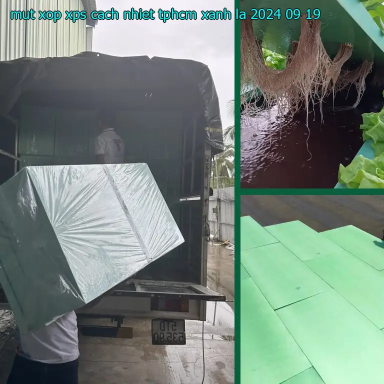 Ngày sản xuất mút xốp XPS cách nhiệt TpHCM Xanh lá: 2024-09-19