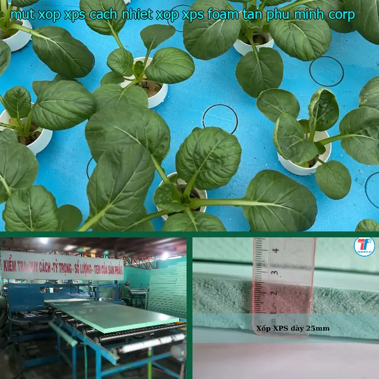 Nhà sản xuất mút xốp XPS cách nhiệt Xốp XPS Foam: Tân Phú Minh Corp