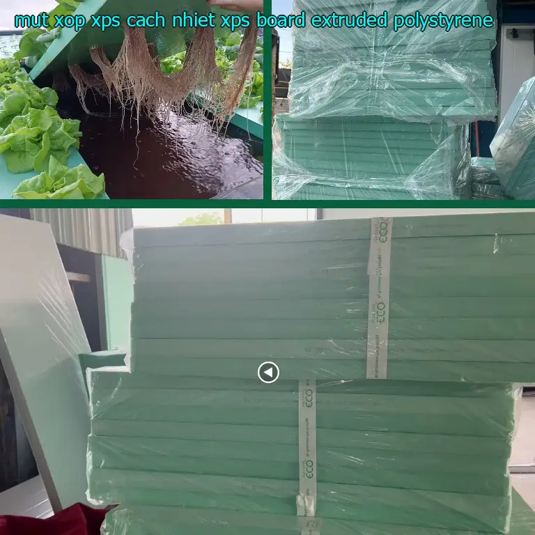 Chất liệu mút xốp XPS cách nhiệt XPS Board: Extruded Polystyrene Chất liệu mút xốp XPS cách nhiệt XPS Board: Extruded Polystyrene