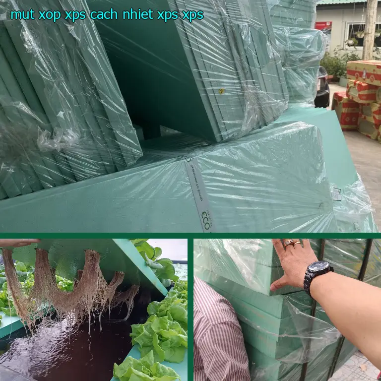 Chất liệu mút xốp XPS cách nhiệt XPS: XPS Chất liệu mút xốp XPS cách nhiệt XPS: XPS