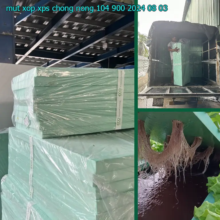 Ngày sản xuất mút xốp XPS chống nóng 104.900₫: 2024-08-03 Ngày sản xuất mút xốp XPS chống nóng 104.900₫: 2024-08-03
