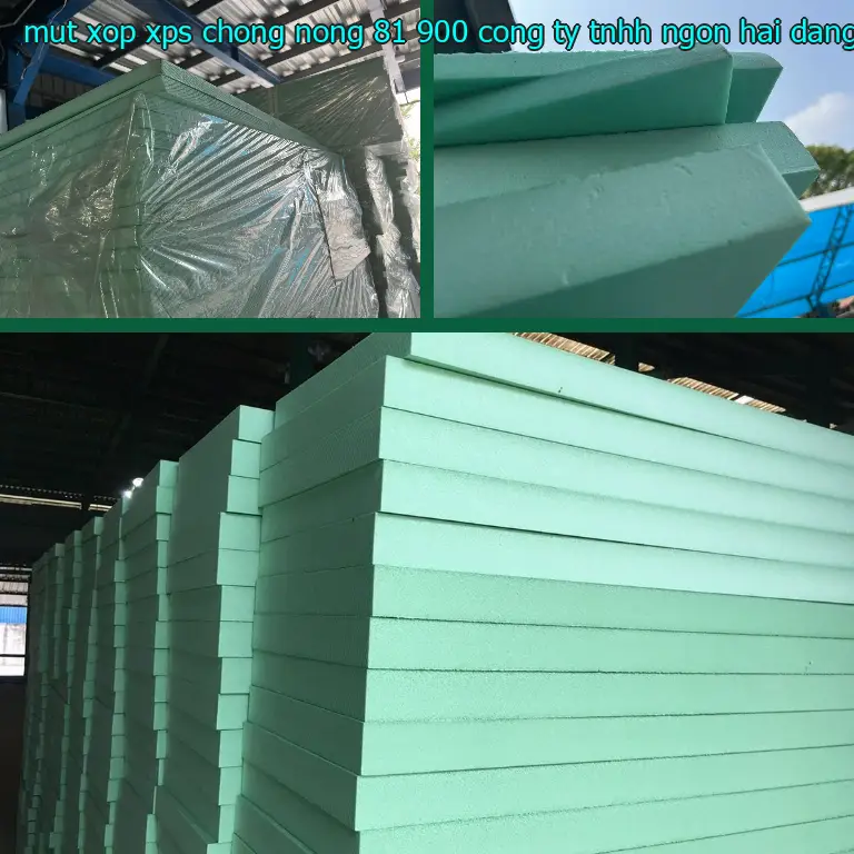 Nhà cung cấp mút xốp XPS chống nóng 81.900₫: Công ty TNHH Ngọn Hải Đăng Nhà cung cấp mút xốp XPS chống nóng 81.900₫: Công ty TNHH Ngọn Hải Đăng