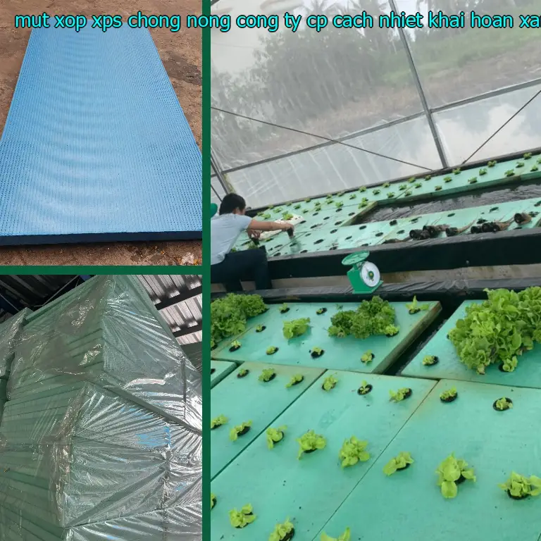 Màu sắc mút xốp XPS chống nóng Công ty CP cách nhiệt Khải Hoàn: Xanh lá Màu sắc mút xốp XPS chống nóng Công ty CP cách nhiệt Khải Hoàn: Xanh lá