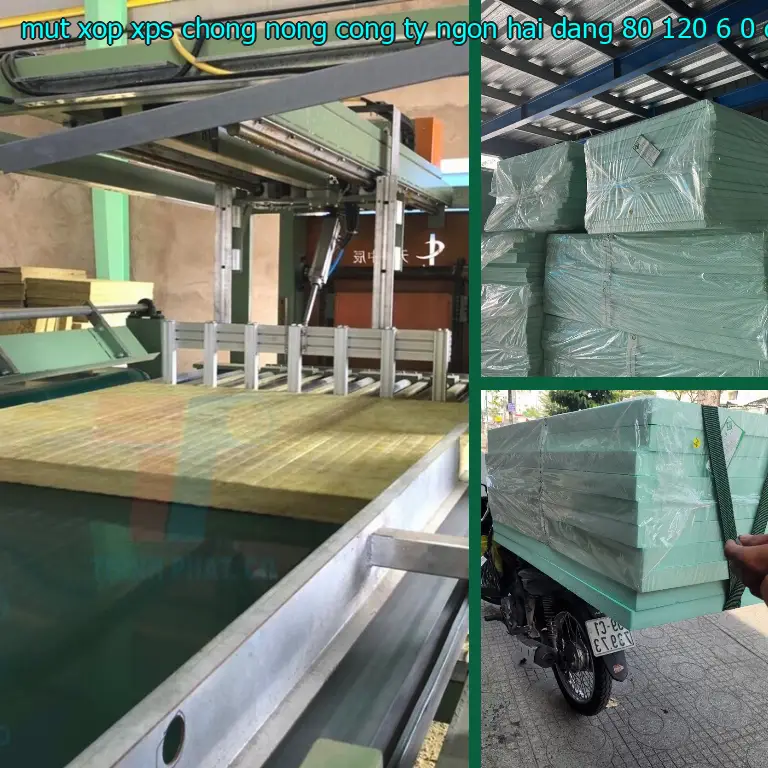 Kích thước mút xốp XPS chống nóng Công ty Ngọn Hải Đăng: 80*120*6.0 cm Kích thước mút xốp XPS chống nóng Công ty Ngọn Hải Đăng: 80*120*6.0 cm