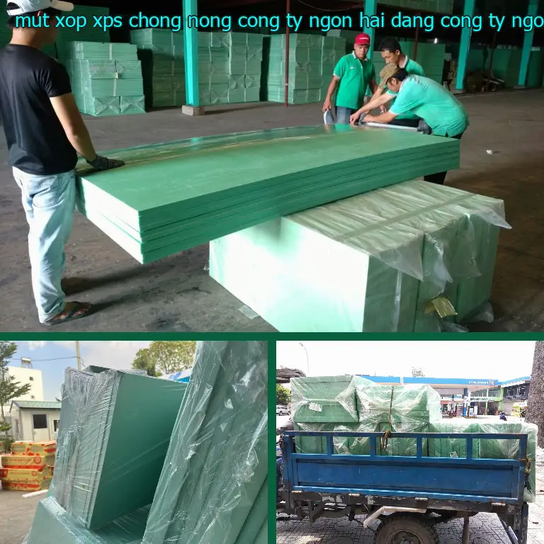 Nhà cung cấp mút xốp XPS chống nóng Công ty Ngọn Hải Đăng: Công ty Ngọn Hải Đăng Nhà cung cấp mút xốp XPS chống nóng Công ty Ngọn Hải Đăng: Công ty Ngọn Hải Đăng