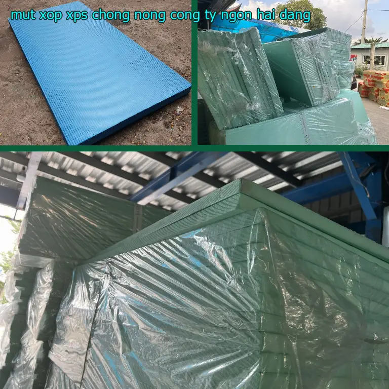 Mút xốp XPS chống nóng Công ty Ngọn Hải Đăng