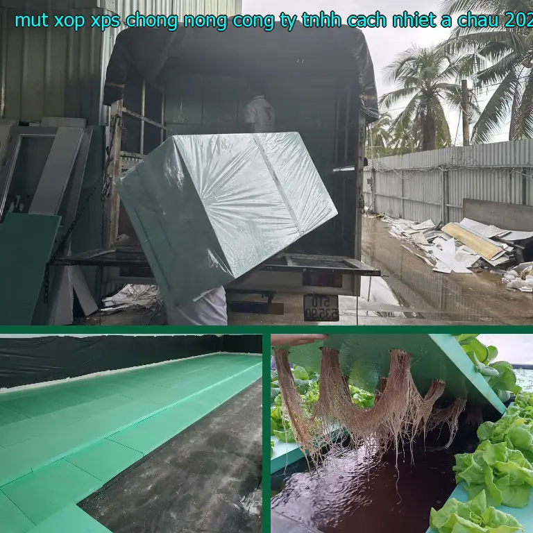 Ngày sản xuất mút xốp XPS chống nóng Công ty TNHH cách nhiệt Á Châu: 2025-06-08 Ngày sản xuất mút xốp XPS chống nóng Công ty TNHH cách nhiệt Á Châu: 2025-06-08