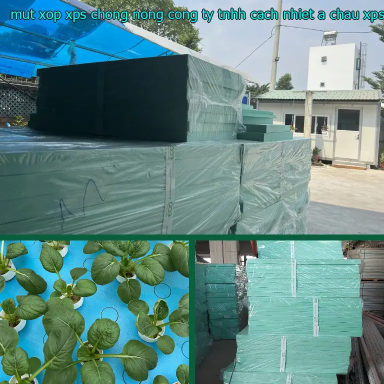 Danh mục mút xốp XPS chống nóng Công ty TNHH cách nhiệt Á Châu: XPS Board Danh mục mút xốp XPS chống nóng Công ty TNHH cách nhiệt Á Châu: XPS Board