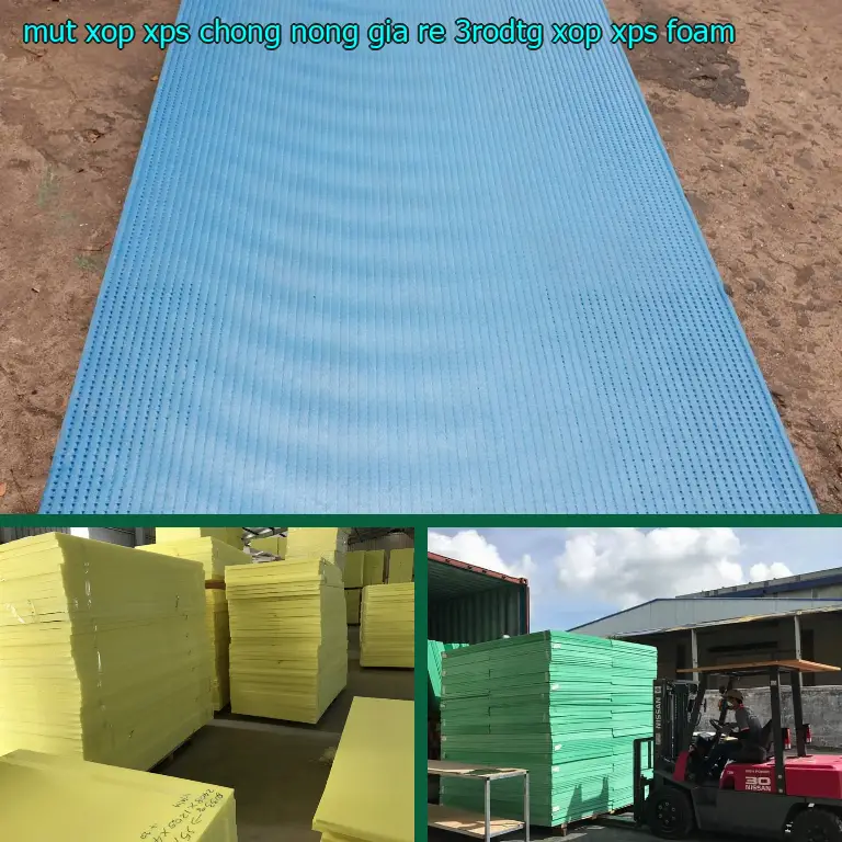 Danh mục mút xốp XPS chống nóng giá rẻ 3RODTG: Xốp XPS Foam Danh mục mút xốp XPS chống nóng giá rẻ 3RODTG: Xốp XPS Foam