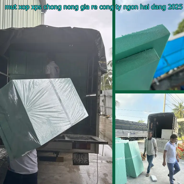 Ngày sản xuất mút xốp XPS chống nóng giá rẻ Công ty Ngọn Hải Đăng: 2025-01-31 Ngày sản xuất mút xốp XPS chống nóng giá rẻ Công ty Ngọn Hải Đăng: 2025-01-31