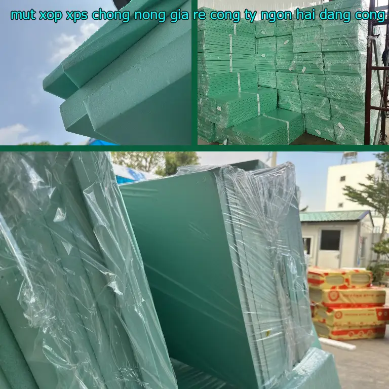 Nhà cung cấp mút xốp XPS chống nóng giá rẻ Công ty Ngọn Hải Đăng: Công ty Ngọn Hải Đăng Nhà cung cấp mút xốp XPS chống nóng giá rẻ Công ty Ngọn Hải Đăng: Công ty Ngọn Hải Đăng